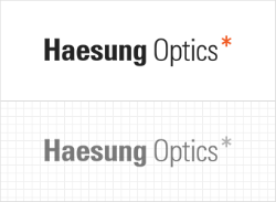 Haesung Optics Co., Ltd
